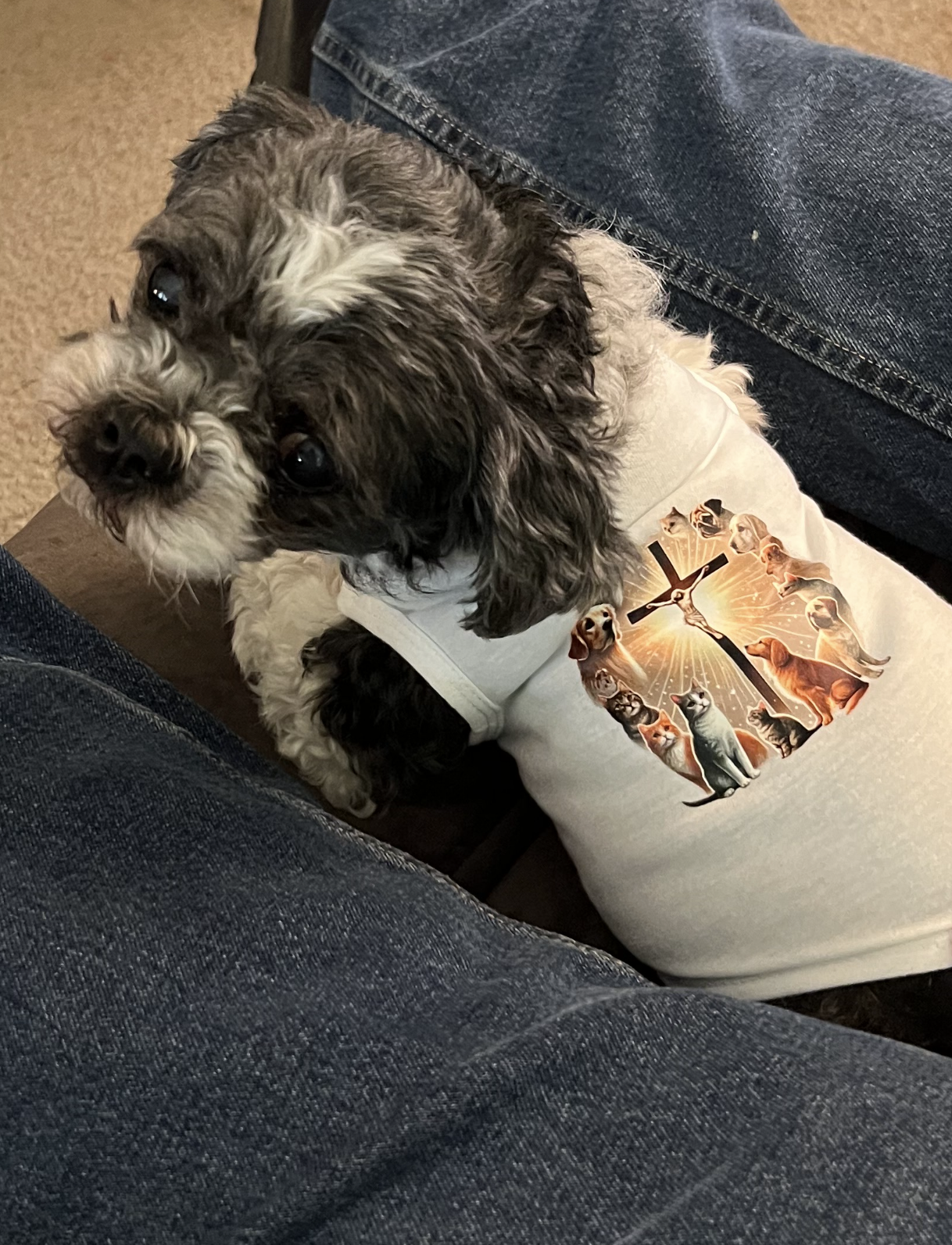 Animals and the Cross Pet Muscle T-Shirt
